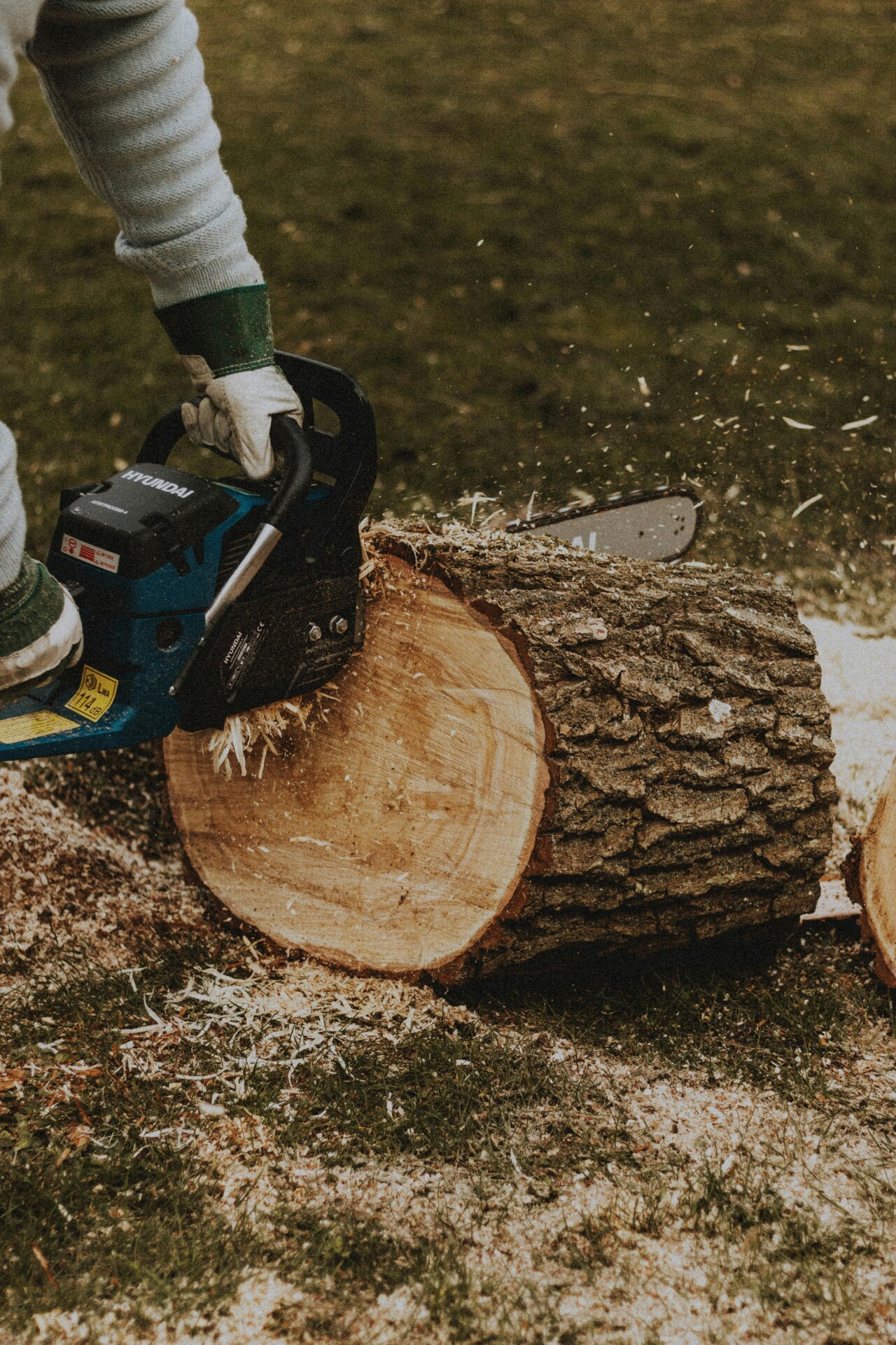 The Gardenscape team completing a tree removal on a residential property.