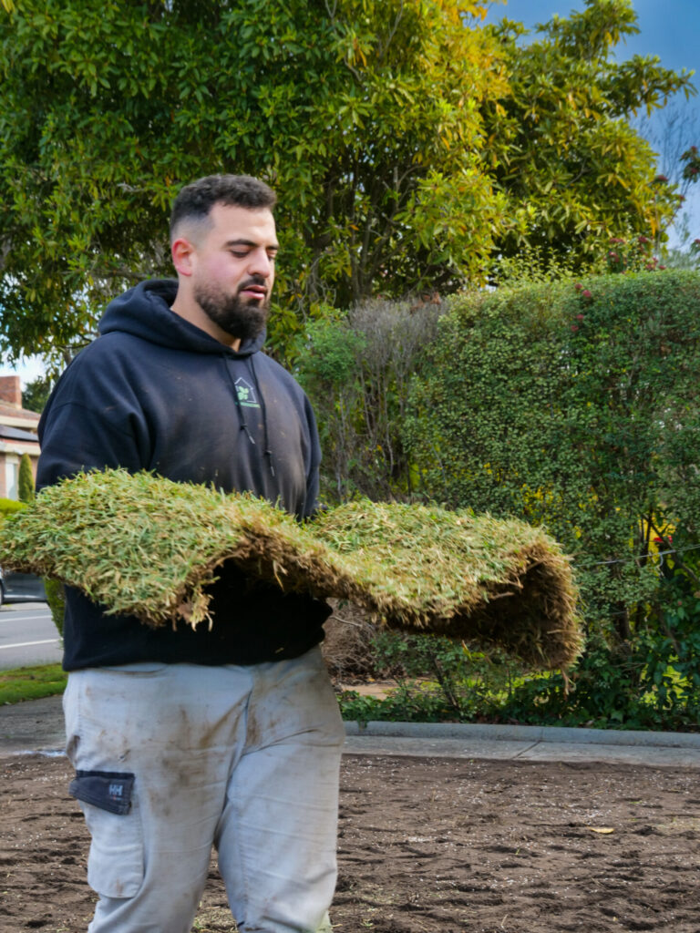 Lush natural turf installed by Gardenscape in a Melbourne home.