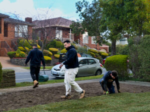 Backyard in Doncaster with freshly laid real grass by Gardenscape.